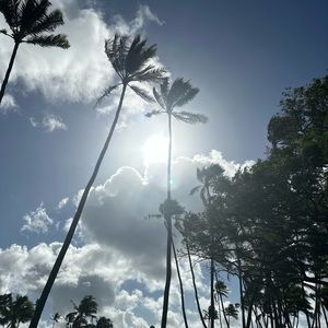 Meet your Posher, Lala